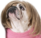 Funny Cosplay Wig for Dog, Headwear Apparel, Pet Costumes, Cat Dress up for Halloween, Christmas, Parties, Festivals (Golden Straight Hair)