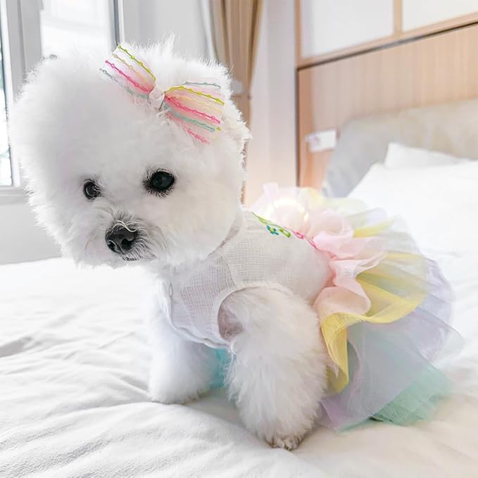 Dog Easter Outfit with My 1st Easter Embroidery Letters Holiday Puppy Dress Rainbow Small Dog Tutu Cat Apparel Fancy Pet Clothes for Chihuahua Yorkie Pomeranian Poodle(Colorful, X-Large)