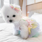 Dog Easter Outfit with My 1st Easter Embroidery Letters Holiday Puppy Dress Rainbow Small Dog Tutu Cat Apparel Fancy Pet Clothes for Chihuahua Yorkie Pomeranian Poodle (Colorful, Medium)