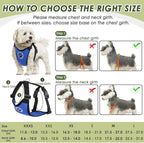 SlowTon Dog Seat Belt Harness for Car, Dog Car Harness Adjustable Mesh Breathable & Dog Seatbelt Safety Tether with Elastic Bungee for Small Medium Large Pets(Blue, Double Clip, XXXS)