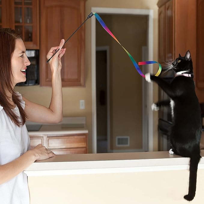 Cat Wand Interactive Toy, 5 Sets Colorful Fabric Ribbon Sticks, Indoor Interactive Cat String Toy