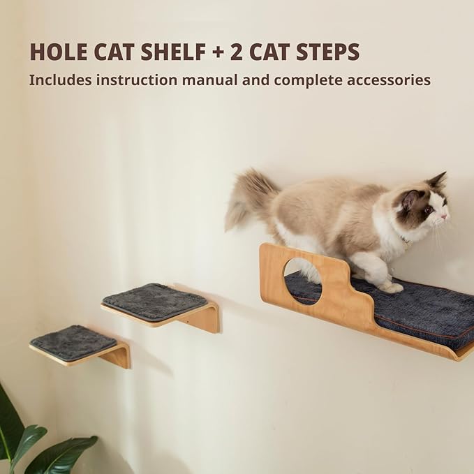 Cat Wall Shelves with 2 Steps, Creative Design Cat Shelf with Peephole, 19 x 10 inch Cats Wall Furniture with Comfortable Pad, Cats Perch for Sleeping, Playing, and Scratching.