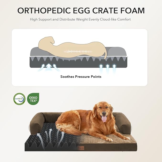 Orthopedic Dog Beds for Extra Large Dogs, Waterproof Egg Crate Foam XL Dog Bed with Sides 41x27Inch, Washable Big Dogs Couch Beds with Removable Cover and Nonskid Bottom, Brown