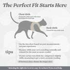rabbitgoo Cat Harness and Leash Set for Walking Escape Proof, Adjustable Soft Kittens Vest with Reflective Strip for Cats, Comfortable Outdoor Vest, Grey, L
