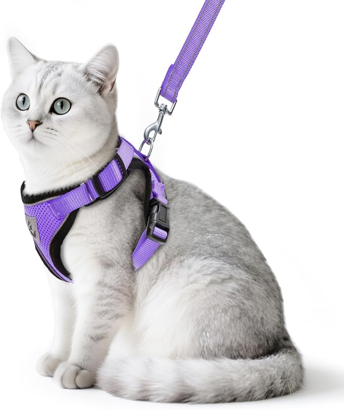 PUPTECK Cat Harness and Leash Set Escape Proof Reflective Cat Walking Harness Adjustable Soft Breathable Mesh Vest for Small Pets, Purple, S