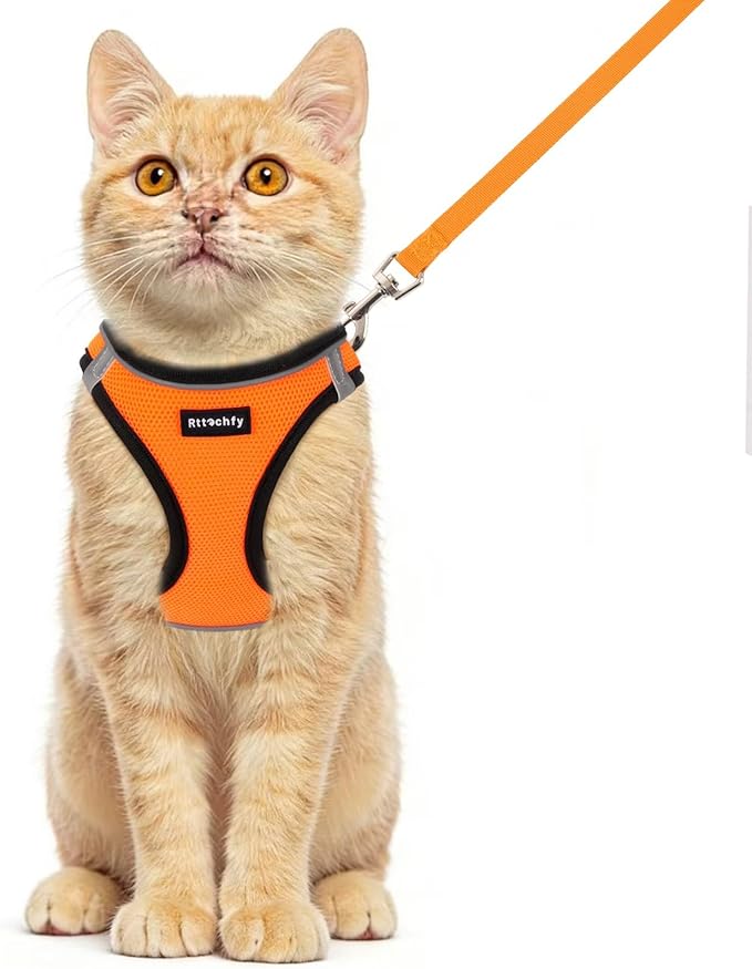 Rttochfy Cat Harness and Leash Set, Escape Proof Kitten Harness, Soft and Breathable Vest with Reflective Strip, Easy to Wear for Cats Walking and Traveling (BK Orange, S)