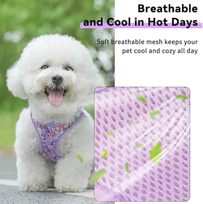 Step in Dog Harness and Leash Set, Flower Adjustable Easy Walk Puppy Harnesses, Soft Mesh Pet Vest Harness Small Size Dog Adjustable No Pull Dog Harness for Small Dogs and Cats(Pink, XXS)