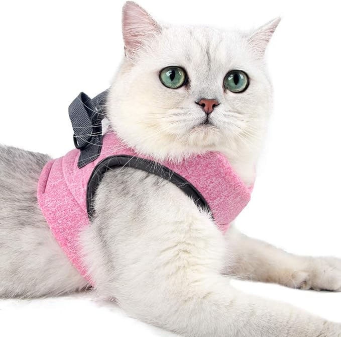 HEYWEAN Cat Harness and Leash - Ultra Light Escape Proof Kitten Collar Cat Walking Jacket with Running Cushioning Soft and Comfortable Suitable for Puppies Rabbits