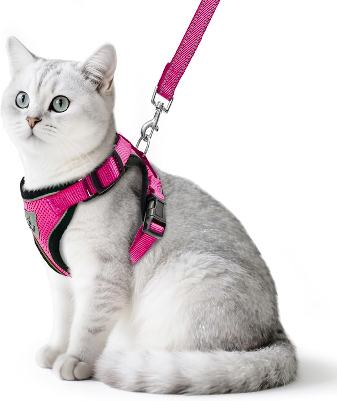 PUPTECK Cat Harness and Leash Set Escape Proof Reflective Cat Walking Harness Adjustable Soft Breathable Mesh Vest for Small Pets, Deep Pink, M