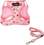 Lucy & Co. Cutie Patootie Step-in Cat Harness & Leash Bundle – Reflective, Breathable & Adjustable Harness for Cats, Kittens & Small Dogs, Lightweight & Secure and Dual Leash Clips – Medium