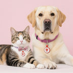 ESA Dog Tag, QR Code Dog Tag, Modifiable Free Pet Online Profile, Scannable QR Code, Scan QR Send Instant Location Alert Email, Silicone Lightweight ID Tag for Dog and Cat (Red, Regular)