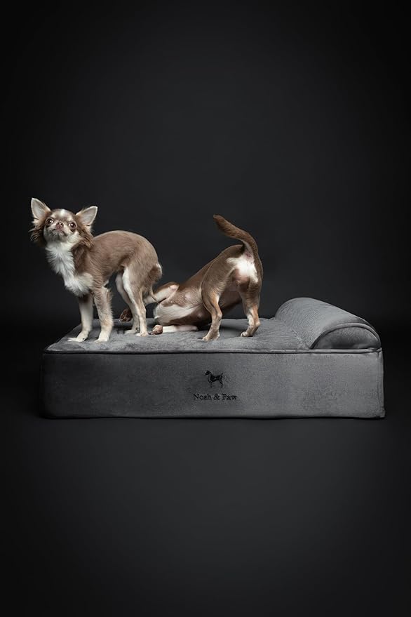 NOAH & PAW Dog Bed, 28x23x7.5 Inch, Orthopedic Dog Beds for Medium Size Pets, Eggshell Memory Foam Infused with Cooling Gel, Waterproof, Machine Washable, Includes Inner Cover (Velvet Collection)