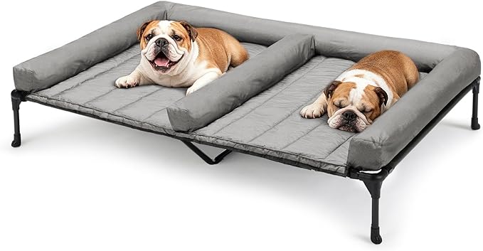 Veehoo Cooling Raised Dog Beds + Waterproof Double Dog Bed Cushion for Two Medium Dogs, Elevated Pet Cot with Removable Bolster Mat, Breathable Mesh, No-Slip Feet, Pets Couch Bed, 53x37.5inches, Grey