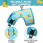 BINGPET Cat Harness - Mesh Cat Dog Walking Harness with Leash - Adjustable Cat Vest Harness for Kittens and Puppies - Pineapple