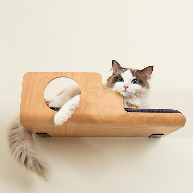 Cat Wall Shelves, Creative Design Cat Shelf with Peephole, 19 x 10 inch Cats Wall Furniture with Comfortable Pad, Cats Perch for Sleeping, Playing, and Scratching.