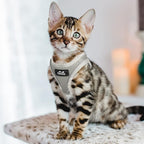 TwoEar Cat Harness Escape Proof, Soft Dog Vest Harness Adjustable, Breathable Mesh Step-in Puppy Walking Jacket Reflective Easy Control for Extral Small Pets for Outdoor Walking(XXXS, Grey)