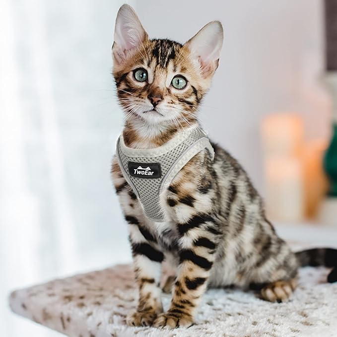TwoEar Cat Harness Escape Proof, Soft Dog Vest Harness Adjustable, Breathable Mesh Step-in Puppy Walking Jacket Reflective Easy Control for Extral Small Pets for Outdoor Walking(XXXS, Grey)