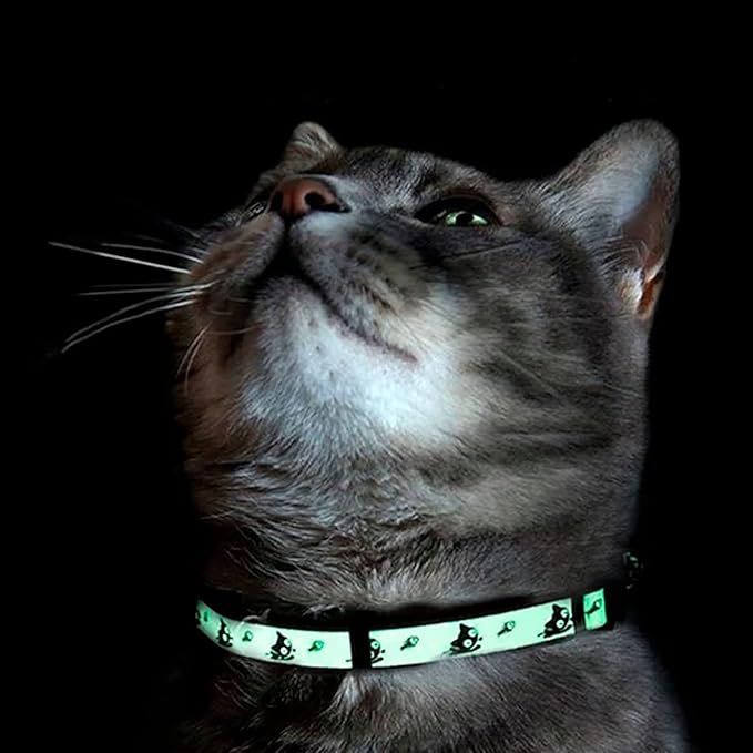 Pawtitas Glow in The Dark Cat Collar with Breakaway Safety Buckle & Bell Adjustable Kitten Collar, Grey