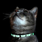 Pawtitas Glow in The Dark Cat Collar with Breakaway Safety Buckle & Bell Adjustable Kitten Collar, Blue