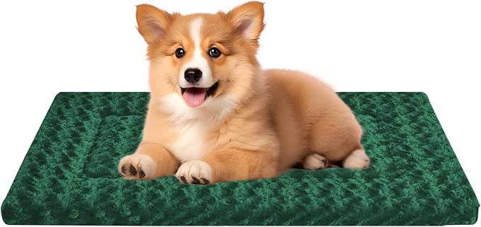 Washable Dog Bed Plush Orthopedic Outdoor Crate Mat with Non-Slip Bottom,Luxe Soft Kennel Pad for Pets,Cozy Cage Cushion & Pet Sleeping Mattress Large Sized,Medium,Small Dogs,24 x 18 inch,Green