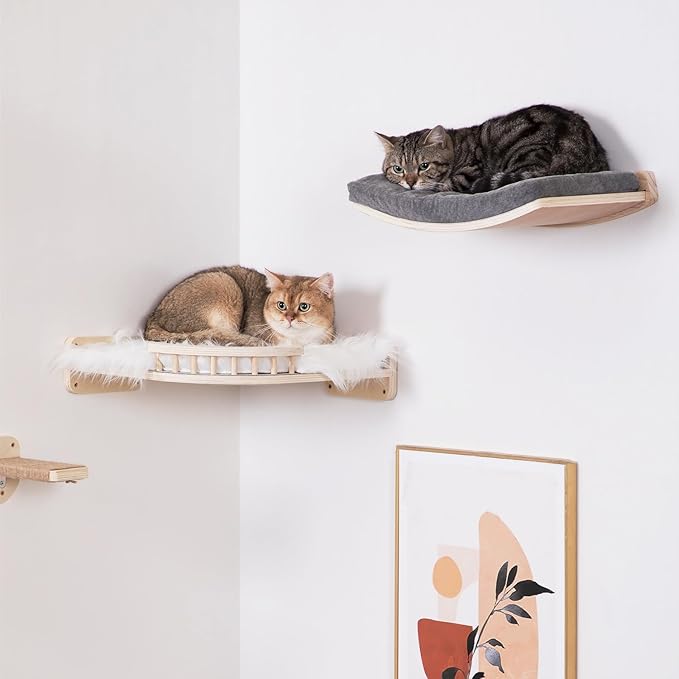 Curved Cat Shelves and Perches, Floating Cat Wall Bed with Comfortable Cushion