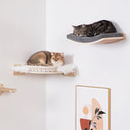 Curved Cat Shelves and Perches, Floating Cat Wall Bed with Comfortable Cushion