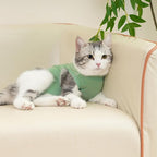 Cat Recovery Suit Cat Onesie for Cats After Surgery Female Male Spay Kitten Neuter Surgical Bodysuit Post Surgery Cone of Shame Alternative Anti Licking(Green, Medium)
