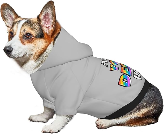 Custom Dog Hoodie, Personalized Dog Sweatshirt, Dog Clothes for Small Dogs Customizable, Silver, XS, Ropa para Perros Pequeños, Customized Pets Puppy Clothes, Personalized Gifts