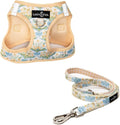 Lucy & Co. Sunshine and Daffodils Step-in Cat Harness and Leash Set Bundle, Reflective, Breathable & Adjustable Harness for Cats, Kittens & Small Dogs, Lightweight & Secure - X-Small