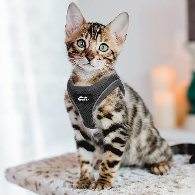 TwoEar Cat Harness Escape Proof, Soft Dog Vest Harness Adjustable, Breathable Mesh Step-in Puppy Walking Jacket Reflective Easy Control for Extral Small Pets for Outdoor Walking(XXXS, Black)