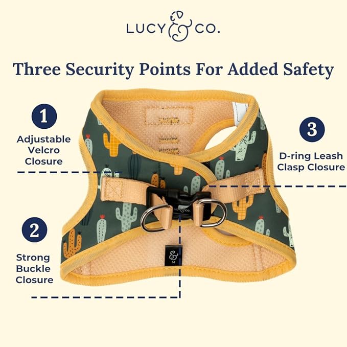 Lucy & Co. Looking Sharp Step-in Cat Harness & Leash Bundle – Reflective, Breathable & Adjustable Harness for Cats, Kittens & Small Dogs, Lightweight & Secure and Dual Leash Clips – Small