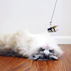 TTcat Cat Toy Replacement Cat Toy Refills, 4 Pcs Simulation Insects and Bird Feathers Refills, cat Wand Toy attachments for Cat Wand.