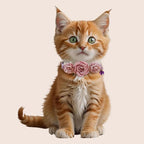 2 Pack Cat Collar Pink Floral with Bell and Removable Flower Bowtie Breakaway Adjustable Cat Collar for Girl Kitten Puppy Small Cats Dogs Daily Decoration (XQ10-3)