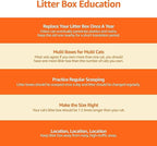 Amazon Basics Large Cat Litter Box with High Sides, Top Entry, Odor Control, Includes Scoop, 20.5 x 14.75 x 14.38 inches, Grey