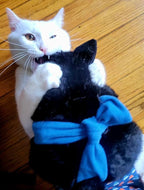 Cat Wrestling Glove Puppet Toy – Interactive Hand Mitt with Durable Protective Sleeve and Catnip - Play & Enrichment