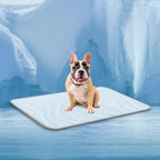 Cozyide Dog Cooling Mat, Large Cooling Mat for Dogs, Reversible Pad for Pet, 36" L x 23" W,Blue