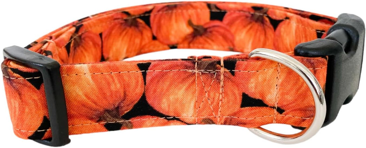 Orange Pumpkins Dog Collar (Large)