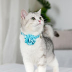 azuza 2 Pack Cat Collar Floral with Bell and Removable Flower Bowtie Breakaway Adjustable Velvet Fabric Cat Collar for Pets and Daily Decoration，Blue & Royal Blue