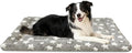 Dog Bed Mat, Dual-Sided Dog Crate Bed Mat - Ultra Soft & Machine Washable Kennel Pad for Large Dogs, All-Season Comfort Pet Bed for Crates, Travel, and Home, Star Gray, 35 x 23 Inch
