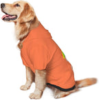 Personalized Pet Sweatshirt, Custom Dog Hooded with Pocket, Customize Hoodies for Dogs, Puppy, L, Chocolate