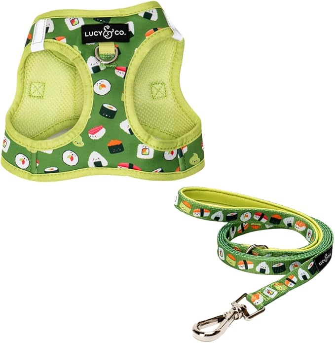 Lucy & Co. How I Roll Step-in Cat Harness & Leash Bundle – Reflective, Breathable & Adjustable Harness for Cats, Kittens & Small Dogs, Lightweight & Secure and Dual Leash Clips – X-Small