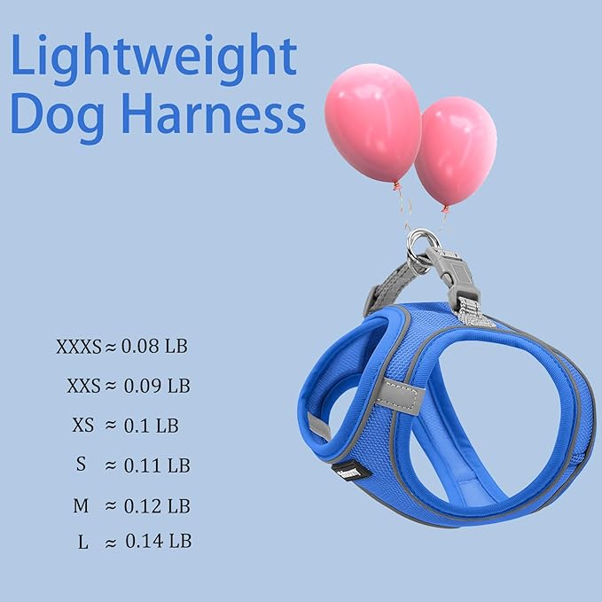 Solmoony Sparkly XXXS Dog Harness and Leash Set, Step in Soft Light Puppy Vest, Breathable Reflective Pet Harness for Walking, Puppy Harness for Small Dogs Cats (Blue, XXXS)
