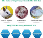 Rabbit Cooling Pad, 12x8 in Self Cooling Mat for Hamster Guinea Pig Chinchilla Bunny Kitten Cat and Other Small Animal, Pet Cool Ice Bed Plate Perfect for Hot Summer
