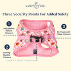 Lucy & Co. Cutie Patootie Step-in Cat Harness & Leash Bundle – Reflective, Breathable & Adjustable Harness for Cats, Kittens & Small Dogs, Lightweight & Secure and Dual Leash Clips – Medium