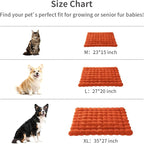 Self-Warming Cat Bed, Plush Faux Fur Pet Bed Mat with Anti-Slip Bottom, Ultra Soft Heated Pad for Cats & Kittens, Cozy Fluffy Bed for Window & Sills Couches, Machine Washable, 23x15 Inch Orange