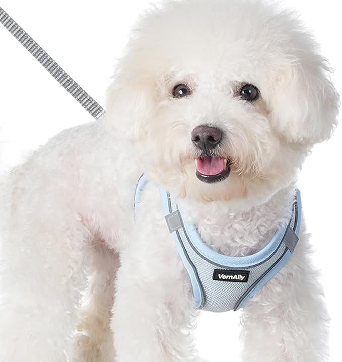 Sparkly Dog Harness Small Sized and Leash Set for Small Dogs Cats,Blue S Puppy Harness, Step in Soft Dog Reflective Vest, Breathable Mesh Pet Harness. (Blue, M)