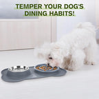 Pecute Slow Feeder Dog Bowls to Slow Down Eating, Dog Bowl Slow Feeder with No-Spill Non-Skid Silicone Mat, Food-Grade Safe Dog Food Bowls Slow Feeder, Stainless Steel Dog Water Bowl for Dogs Cats