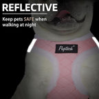 PUPTECK Plush Dog Harness and Leash Set for Small Medium Dogs No Pull Step-in Soft Mesh Puppy Cat Winter Vest Harnesses Reflective at Night Warm, Plush Pink, M