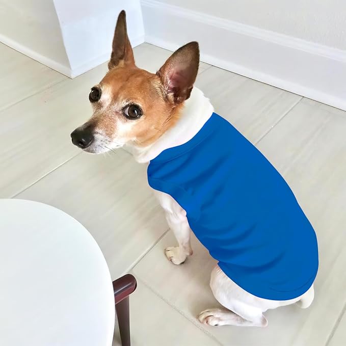 Personalized Dog Shirt Custom Pet T Shirts for Small Large Dogs Customized Puppy Clothes with Name Logo Picture Breathable Pets Sleeveless Vest Apparel Gifts, Blue, XL