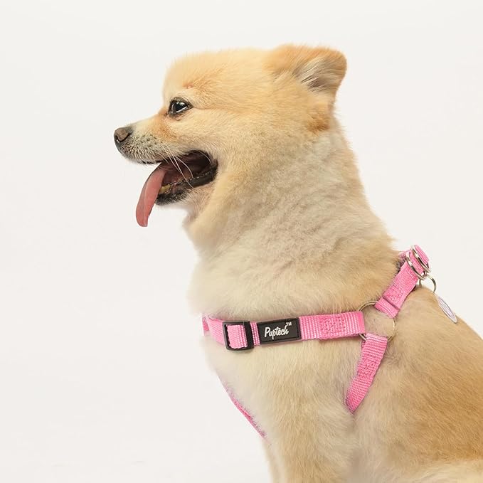 PUPTECK No Pull Dog Harness Soft Adjustable Basic Nylon Step in Puppy Vest Outdoor Walking with ID Tag